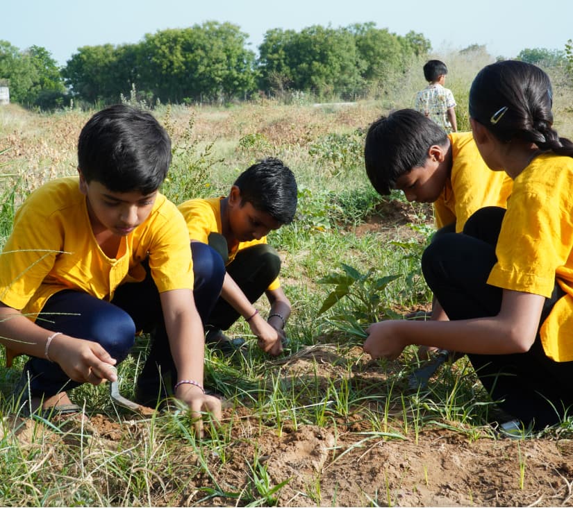 Farming & Gardening Lab